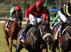 Bravo Bravo (Candiese Marnewick)