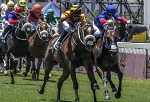 Agent Of Fortune (Chase Liebenberg)