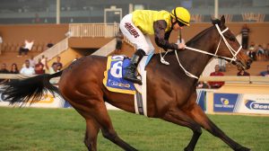 Captain's Girl (Candiese Marnewick)