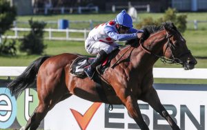 Fifty Cents (Liesl King)