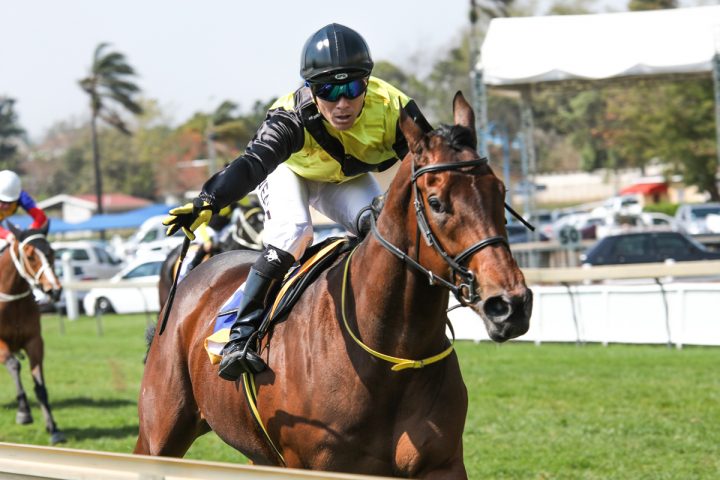 Golden Chance (Candiese Marnewick)