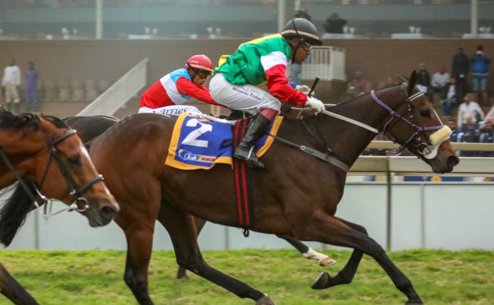High Altar (Candiese Marnewick)