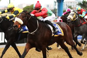 Liverpool Lass (Candiese Marnewick)