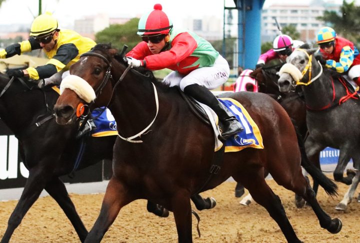 Liverpool Lass (Candiese Marnewick)