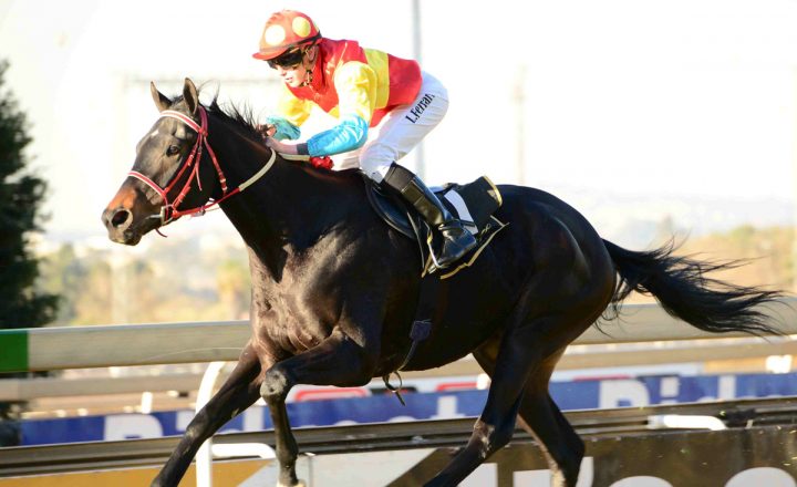 Make Your Move (JC Photographics)