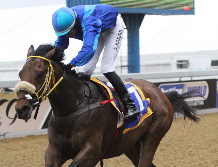 March Preview (Candiese Marnewick)