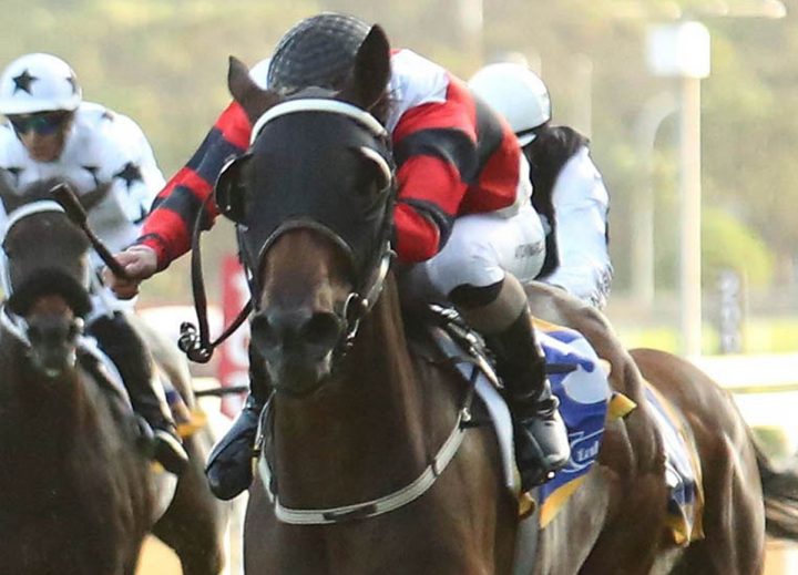 Roman Cortesan (Candiese Marnewick)