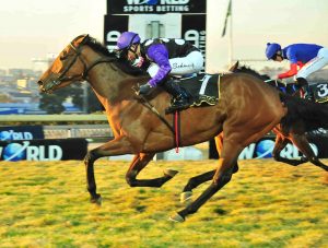 Saragon (JC Photographics)