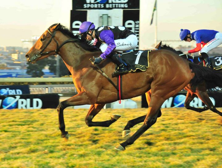 Saragon (JC Photographics)