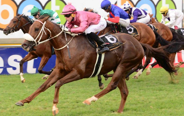 Splendid Garden (JC Photographics)