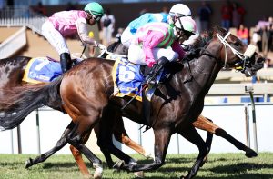 The Poet (Nkosi Hlophe)