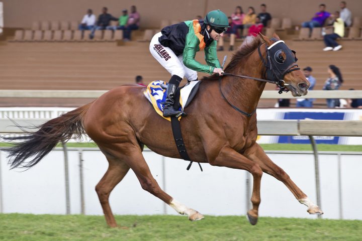 Tribal Fusion (Anneke Kitching)