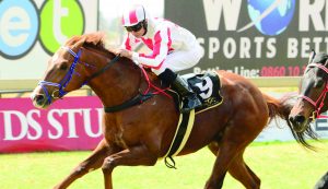 Viking Trail (JC Photographics)