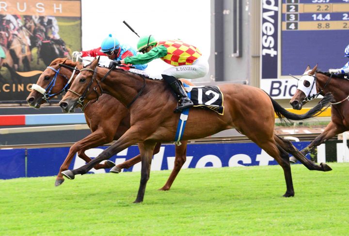 Whosethebossnow (JC Photographics)