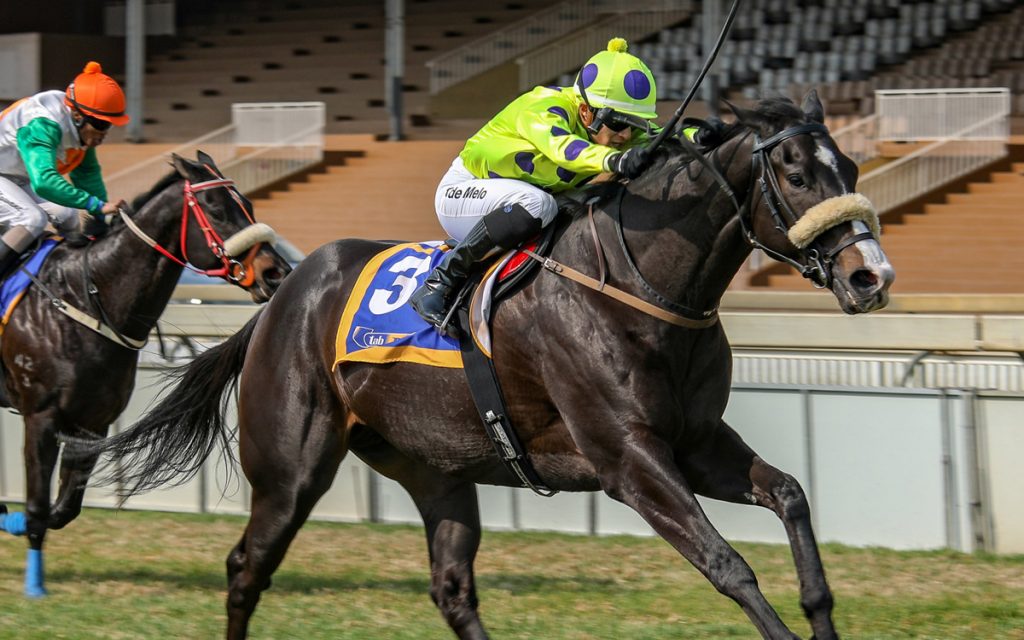 Tribal Fusion has the class Gold Circle Horse Racing And Betting