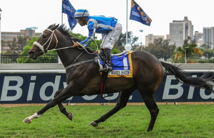 Arianos Shadow (Candiese Marnewick)