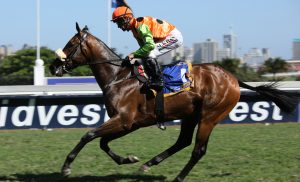 Jet Stream (Candiese Marnewick)