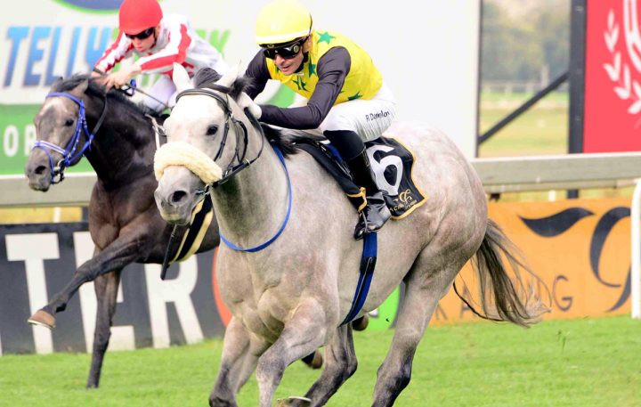 Mardi Gras (JC Photographics)