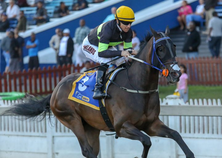 Matador Man (Candiese Lenferna)