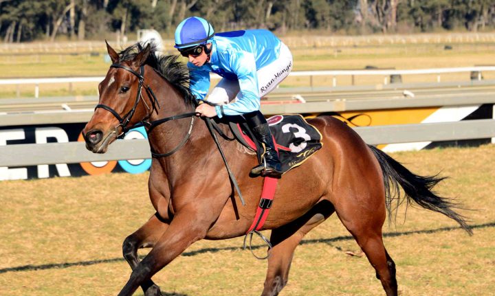 Rings And Things (JC Photographics)