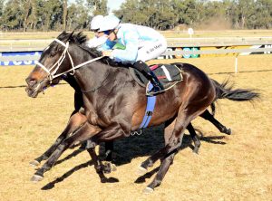 Tsitsikamma Dance (JC Photographics)