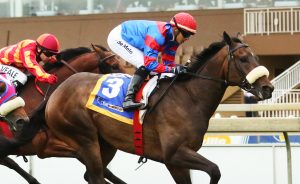 Verdier (Candiese Marnewick)