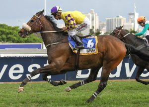 Warfarer (Candiese Marnewick)