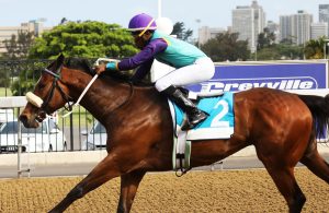 Winter's Coming (Candiese Marnewick)