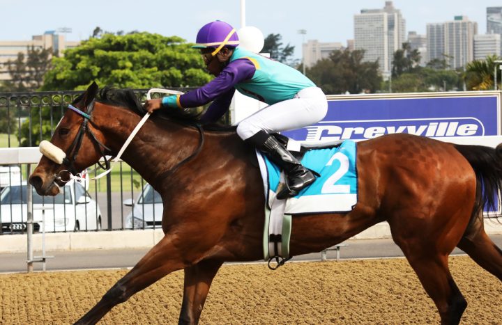 Winter's Coming (Candiese Marnewick)