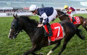 Yucatan (racingpost.com)