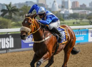 Biker Babe (Candiese Marnewick)