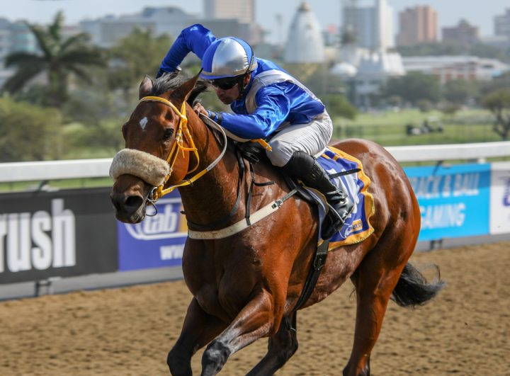 Biker Babe (Candiese Marnewick)