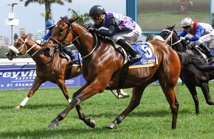 Dark Moon Rising (Candiese Marnewick)