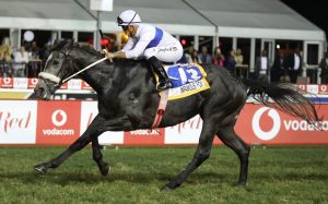 Infamous Fox (Candiese Marnewick)