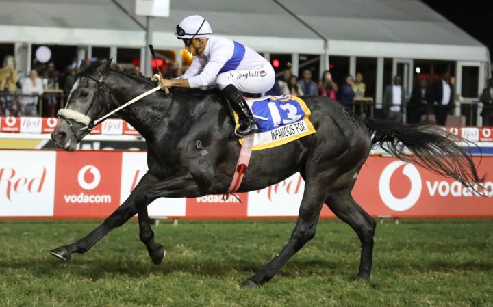 Infamous Fox (Candiese Marnewick)