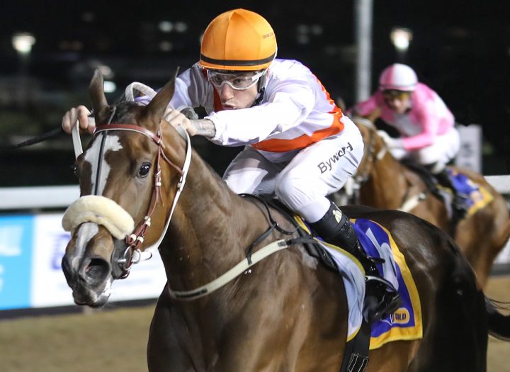 Little Audrey (Candiese Marnewick)