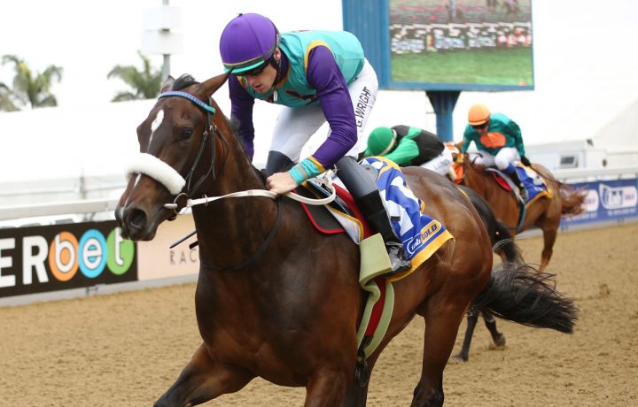 Parades End (Candiese Marnewick)