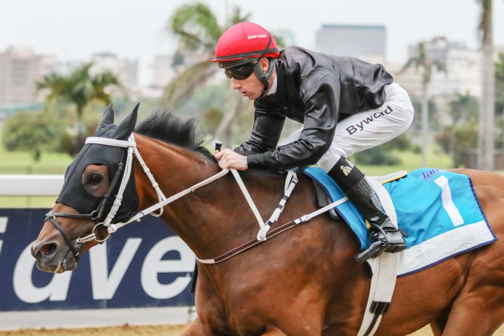 Sigismund (Candiese Marnewick)