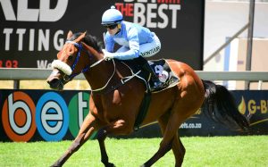 Summer Afternoon (JC Photographics)