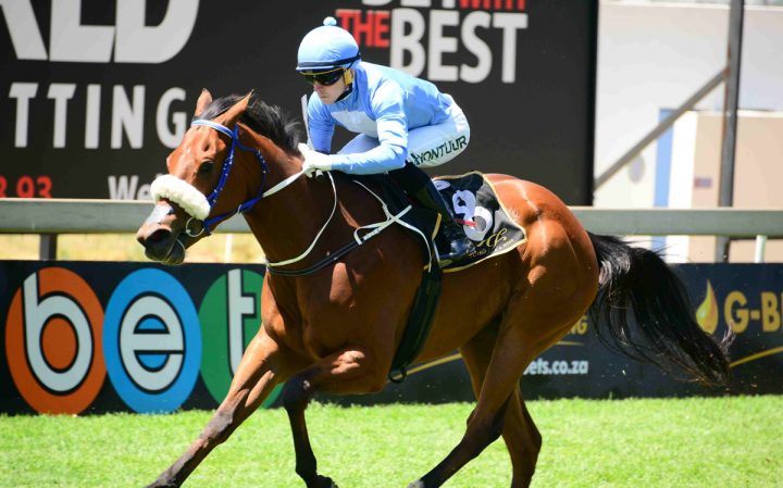 Summer Afternoon (JC Photographics)