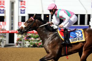 Township Melody (Candiese Marnewick)