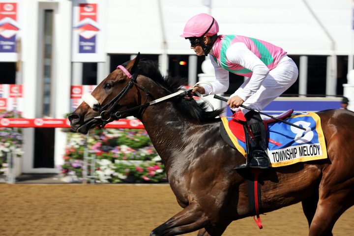 Township Melody (Candiese Marnewick)