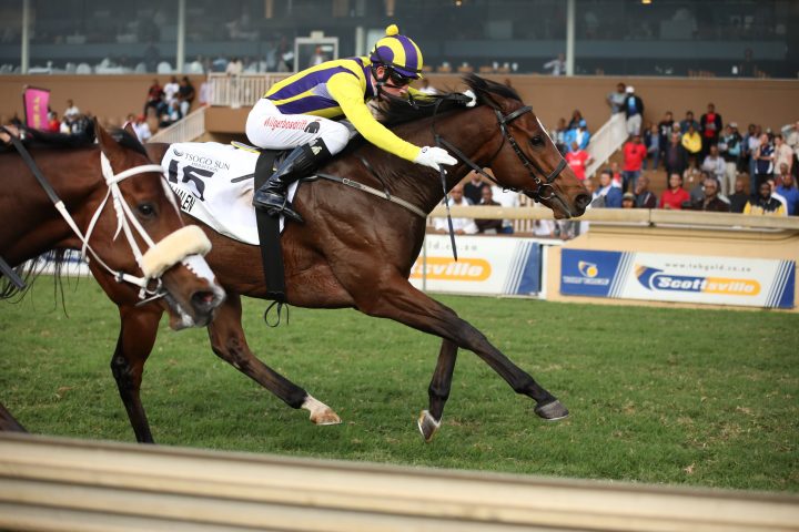 Van Halen (Candiese Marnewick)