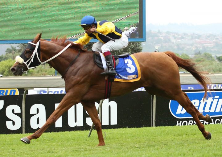 Wynkelder (Candiese Marnewick)