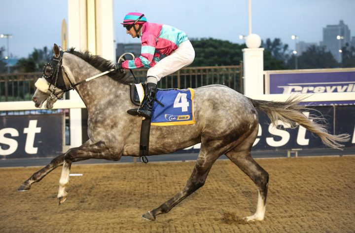 Born To Perform (Candiese Marnewick)