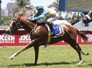 Crown And Country (Candiese Marnewick)