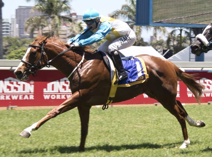 Crown And Country (Candiese Marnewick)