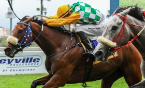 Raes Dyna Jet (Candiese Marnewick)