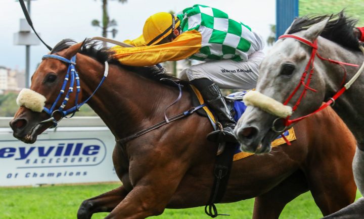 Raes Dyna Jet (Candiese Marnewick)