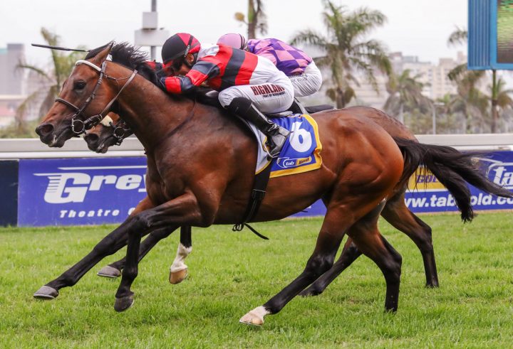 Socrates (Candiese Marnewick)